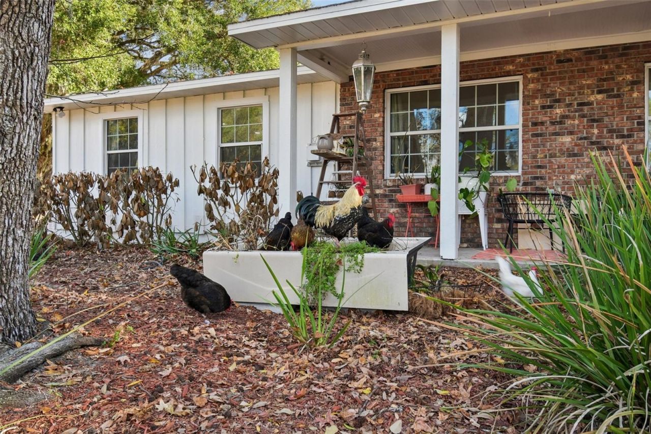 3009 Jim Johnson Road, Plant City, FL 33566 Photo
