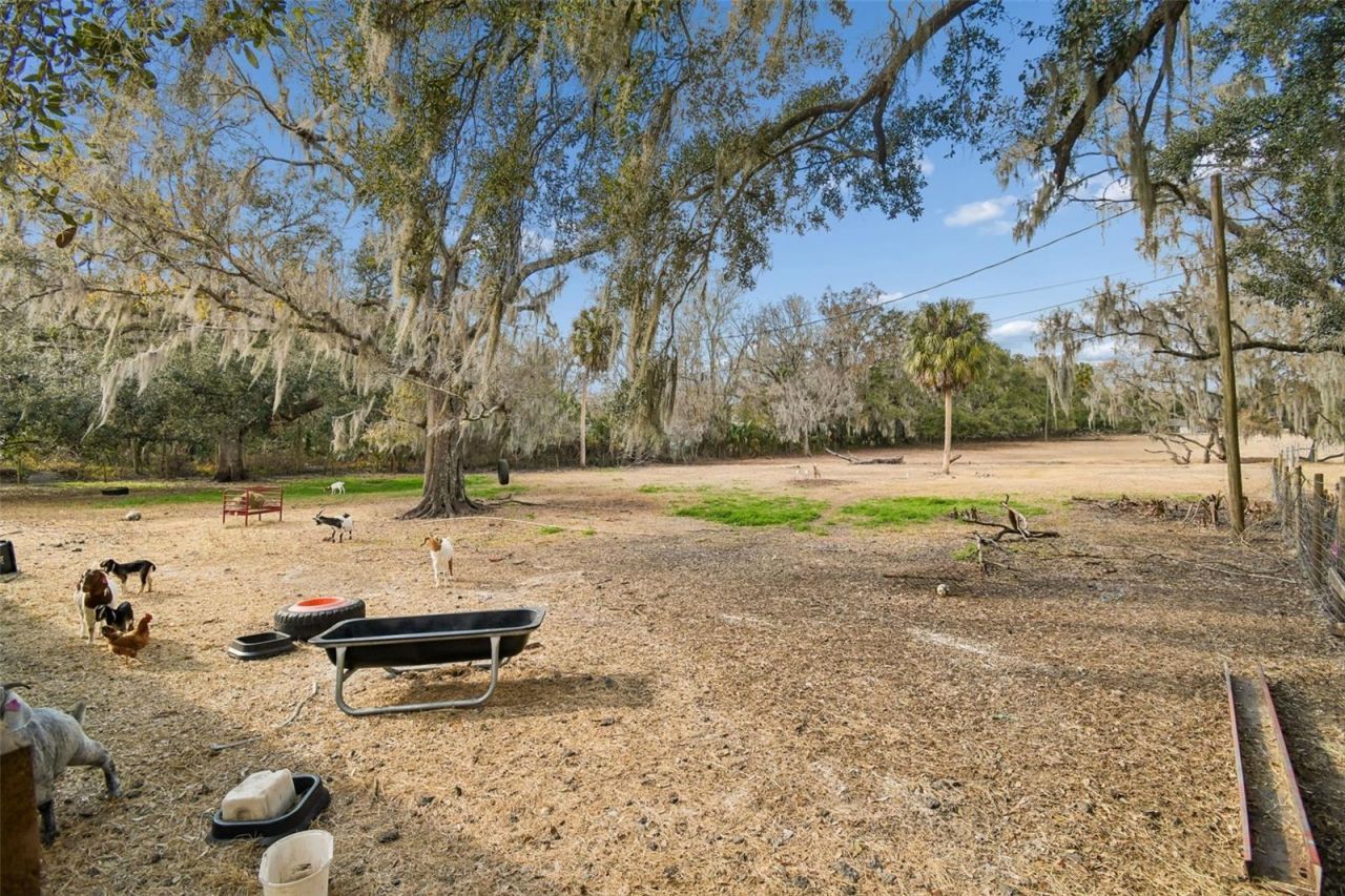 3009 Jim Johnson Road, Plant City, FL 33566 Photo