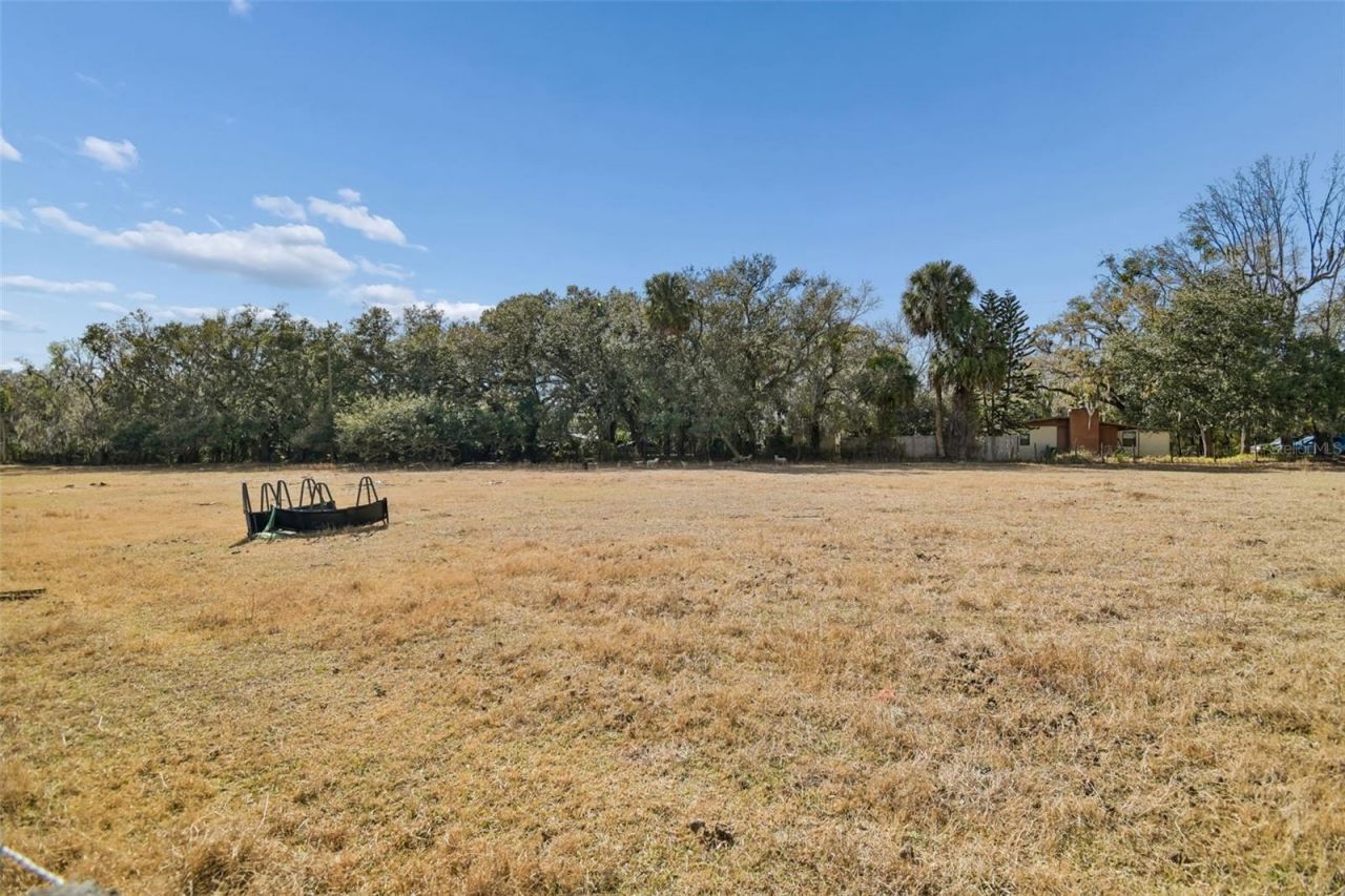 3009 Jim Johnson Road, Plant City, FL 33566 Photo