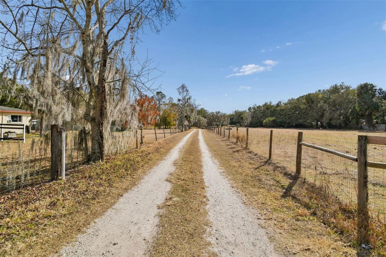 3009 Jim Johnson Road, Plant City, FL 33566 Photo