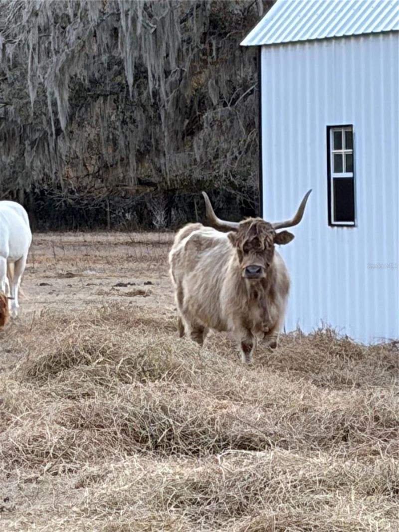 3009 Jim Johnson Road, Plant City, FL 33566 Photo