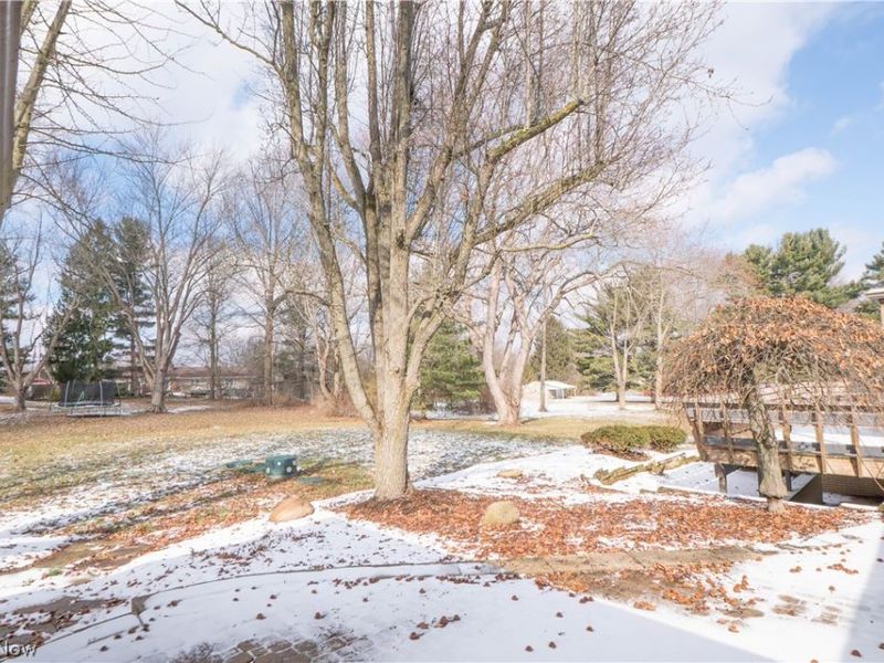 3615 Mountview Avenue, Alliance, OH 44601 Photo 39