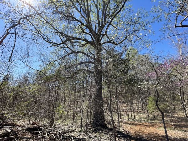 0 Kacie Drive , Pleasant View, TN 37146