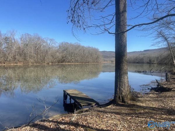 572 County Road 676, Bryant, AL 35958