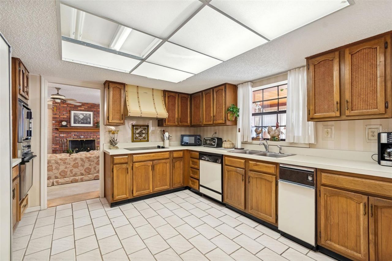 29244 Whipporwill Lane, Wesley Chapel, FL 33543 Photo