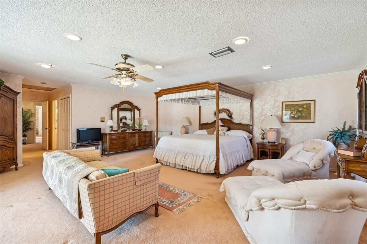 29244 Whipporwill Lane, Wesley Chapel, FL 33543 Photo