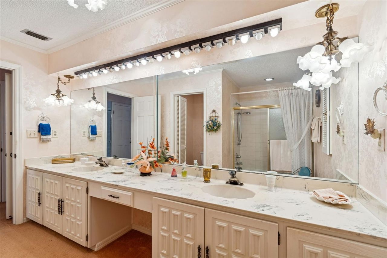 29244 Whipporwill Lane, Wesley Chapel, FL 33543 Photo