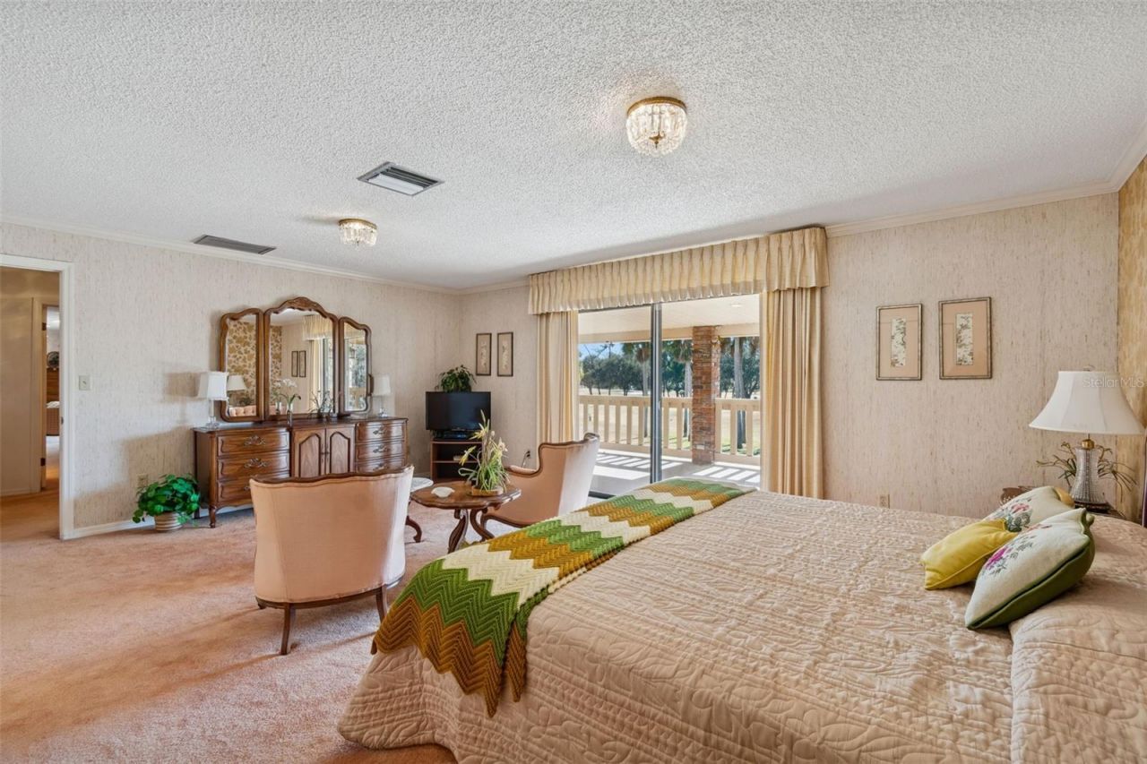 29244 Whipporwill Lane, Wesley Chapel, FL 33543 Photo