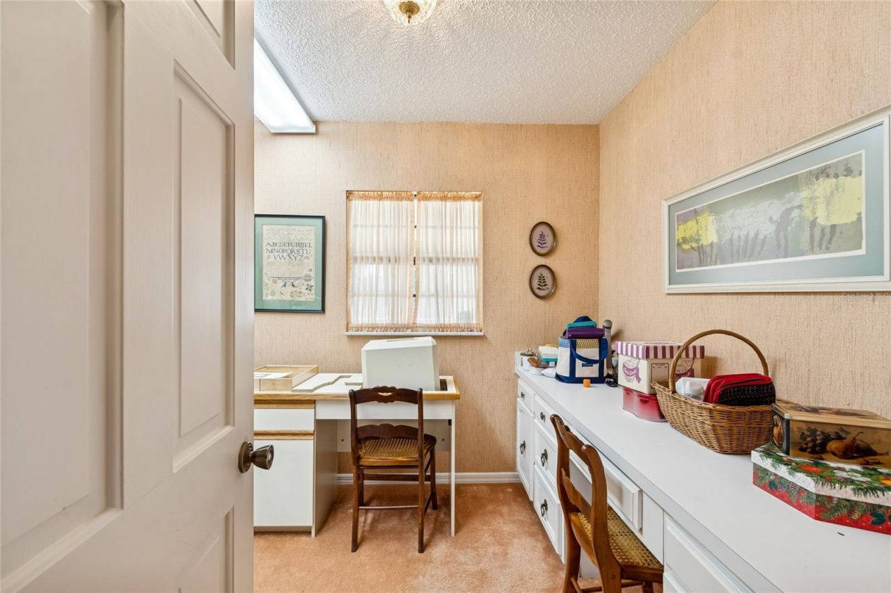 29244 Whipporwill Lane, Wesley Chapel, FL 33543 Photo