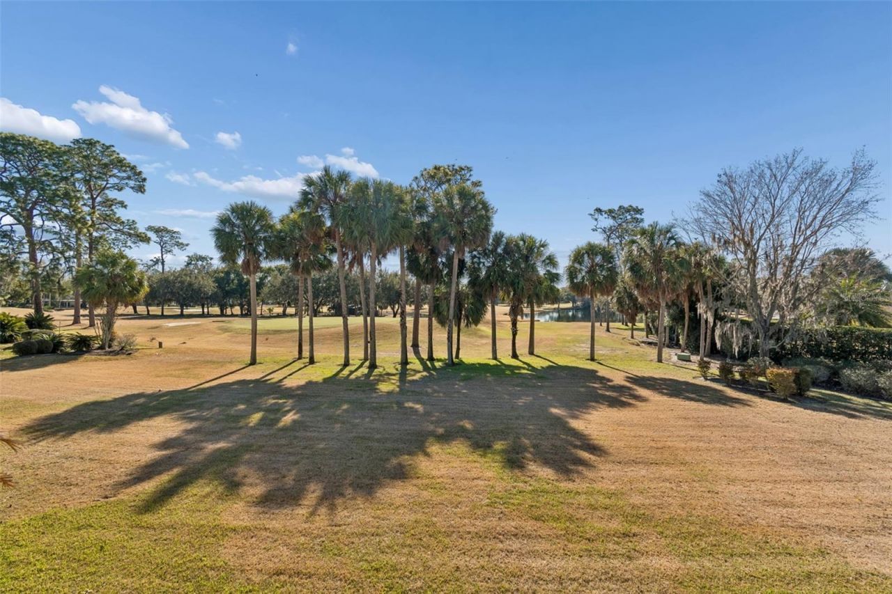 29244 Whipporwill Lane, Wesley Chapel, FL 33543 Photo