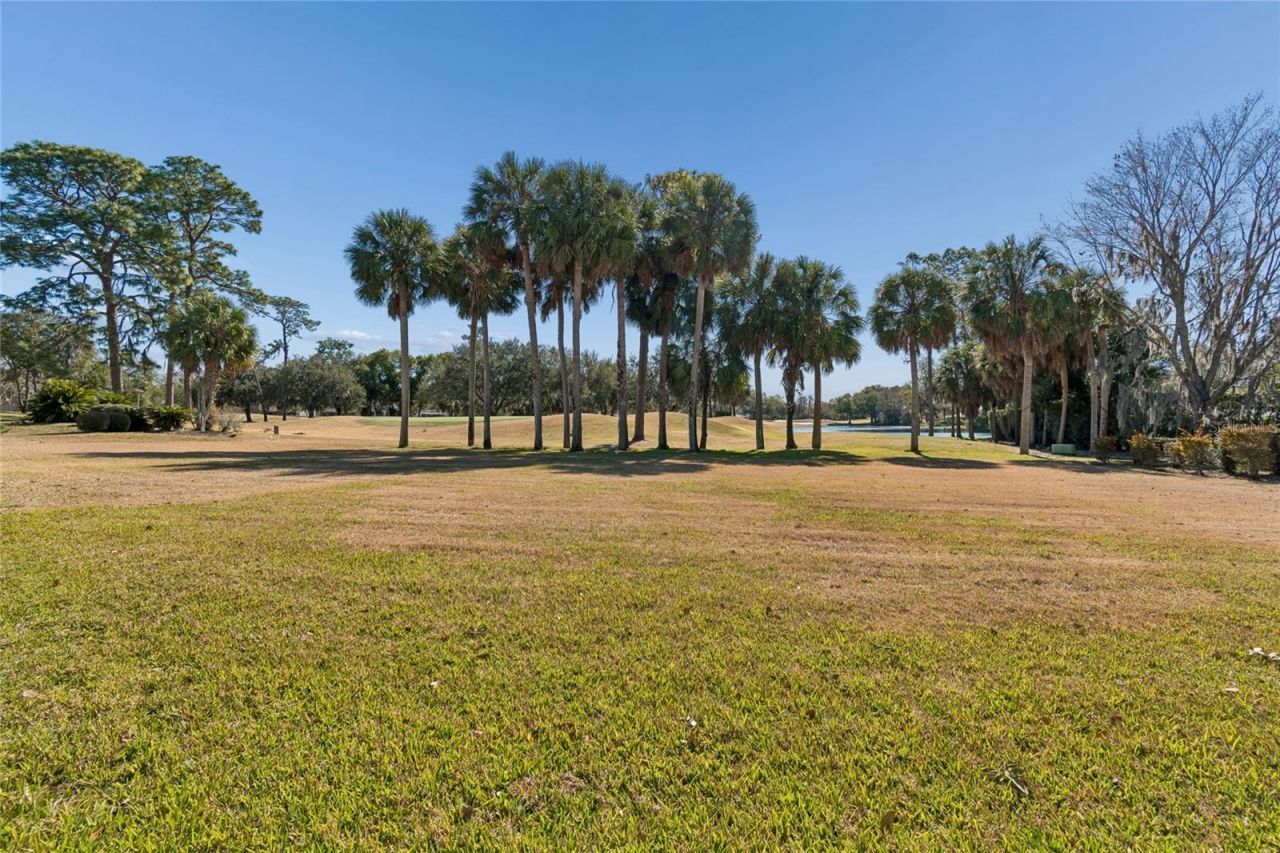 29244 Whipporwill Lane, Wesley Chapel, FL 33543 Photo