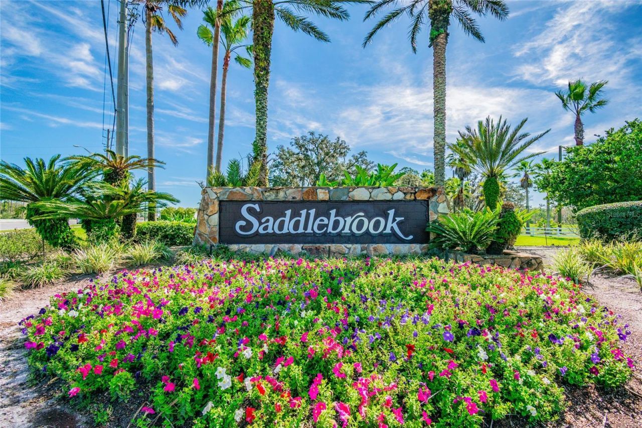 29244 Whipporwill Lane, Wesley Chapel, FL 33543 Photo