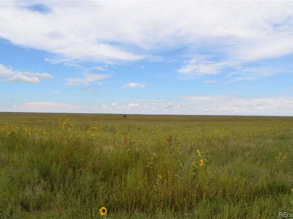 Parcel 8 County Rd V, Rush, CO 80833