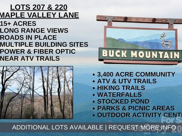 TBD Maple Valley Lane, Purlear, NC 28665