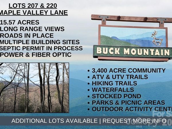 TBD Maple Valley Lane , Purlear, NC 28665