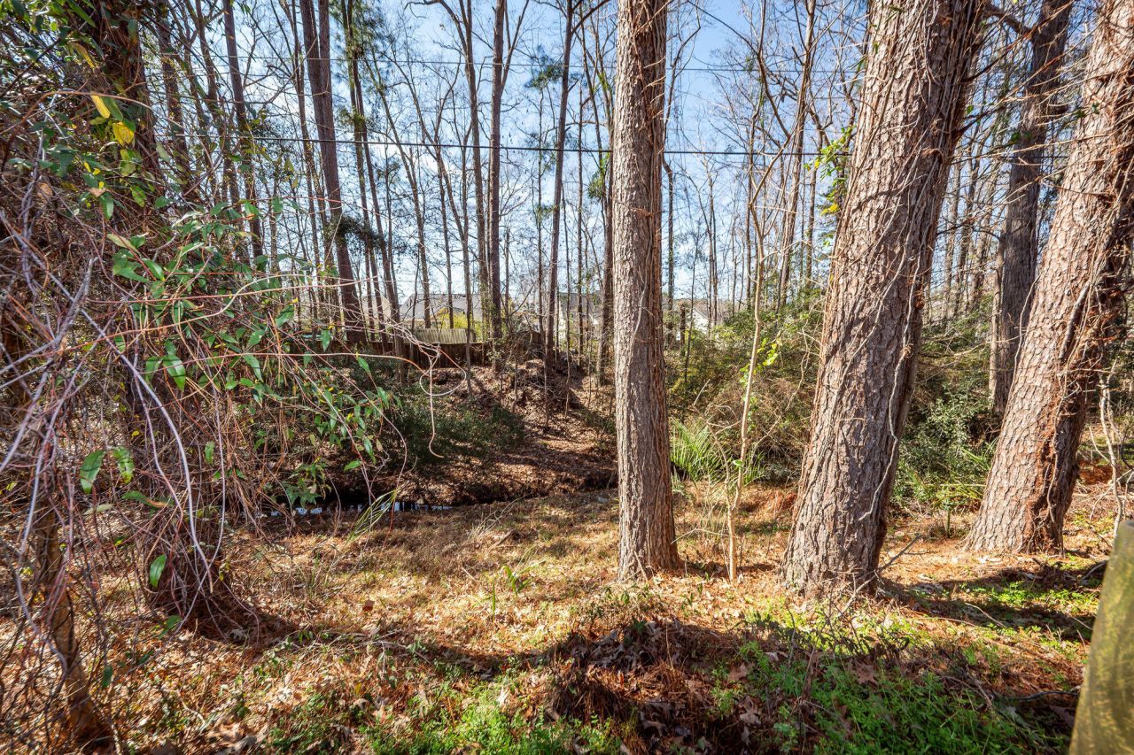 232 Knightsbridge Drive Photo 50