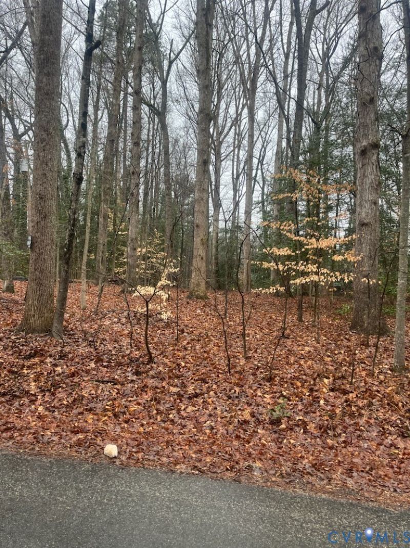 6620 Wilton Road, Chesterfield, VA 23832 Main Photo