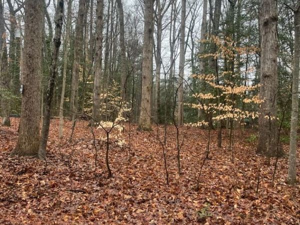 6620 Wilton Road, Chesterfield, VA 23832