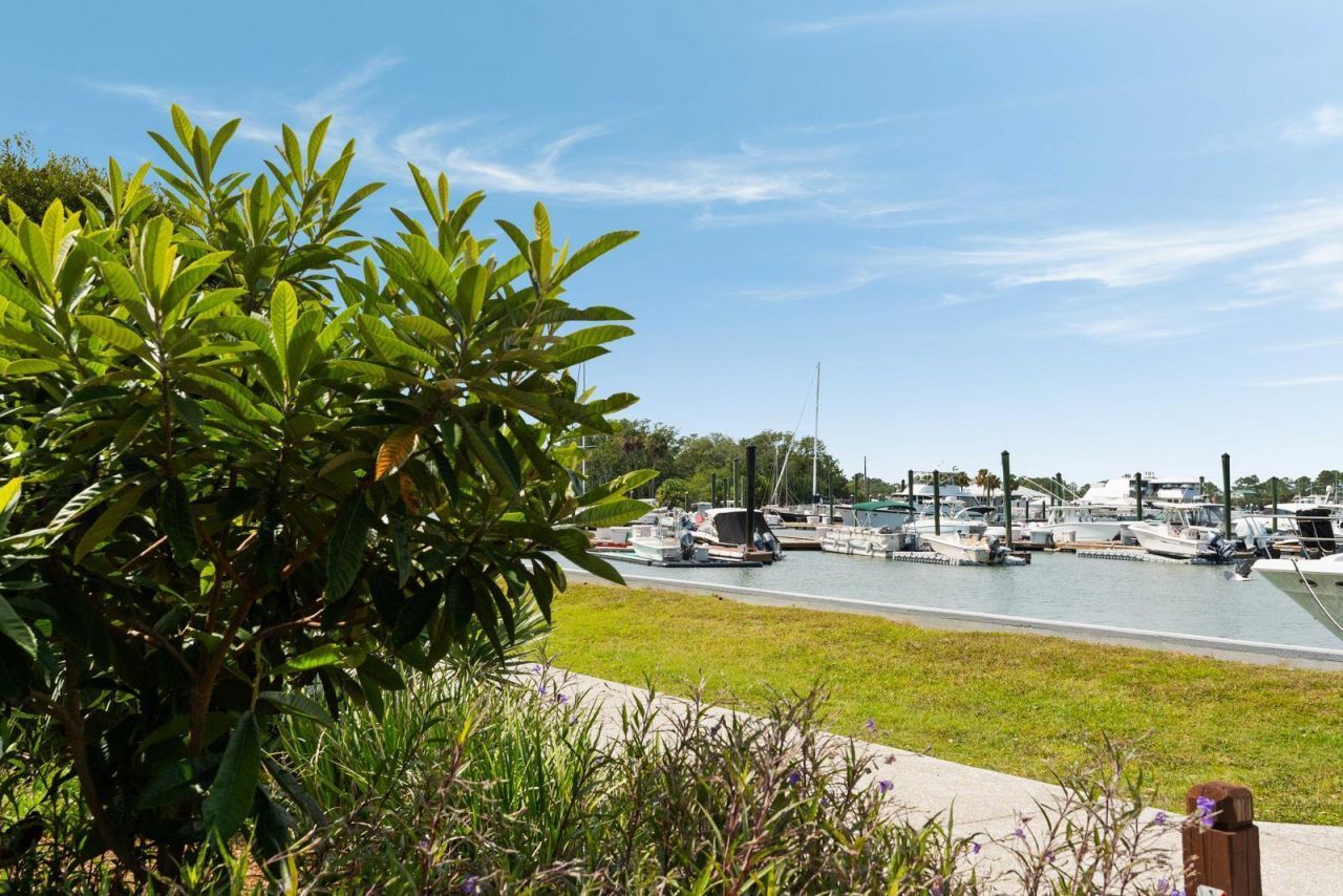 22 Morgans Cove Drive Photo 62