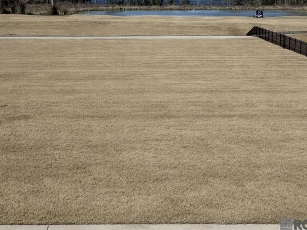 Lot 196 Geneagle Court, Denham Springs, LA 70726