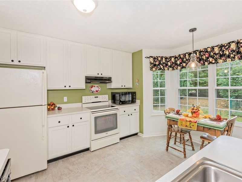 1329 Gill Court, Twinsburg, OH 44087 Photo 12