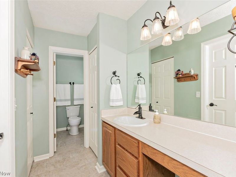 1329 Gill Court, Twinsburg, OH 44087 Photo 26