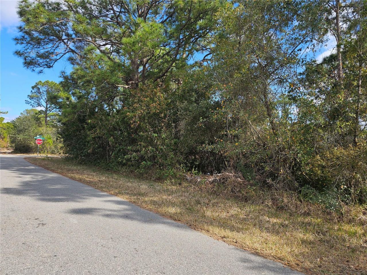 241 Phantasy Avenue, Lake Placid, FL 33852 Photo