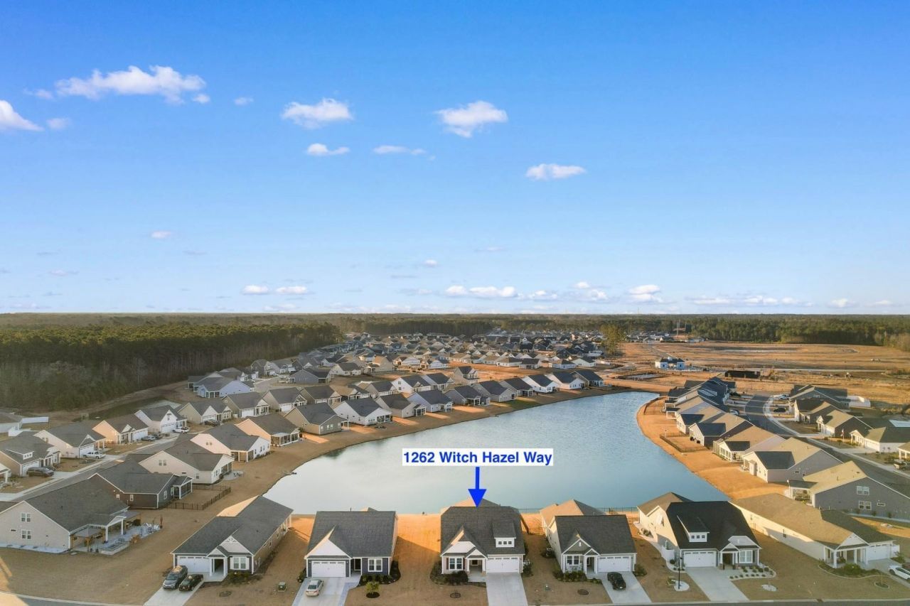 1262 Witch Hazel Way  Photo 31