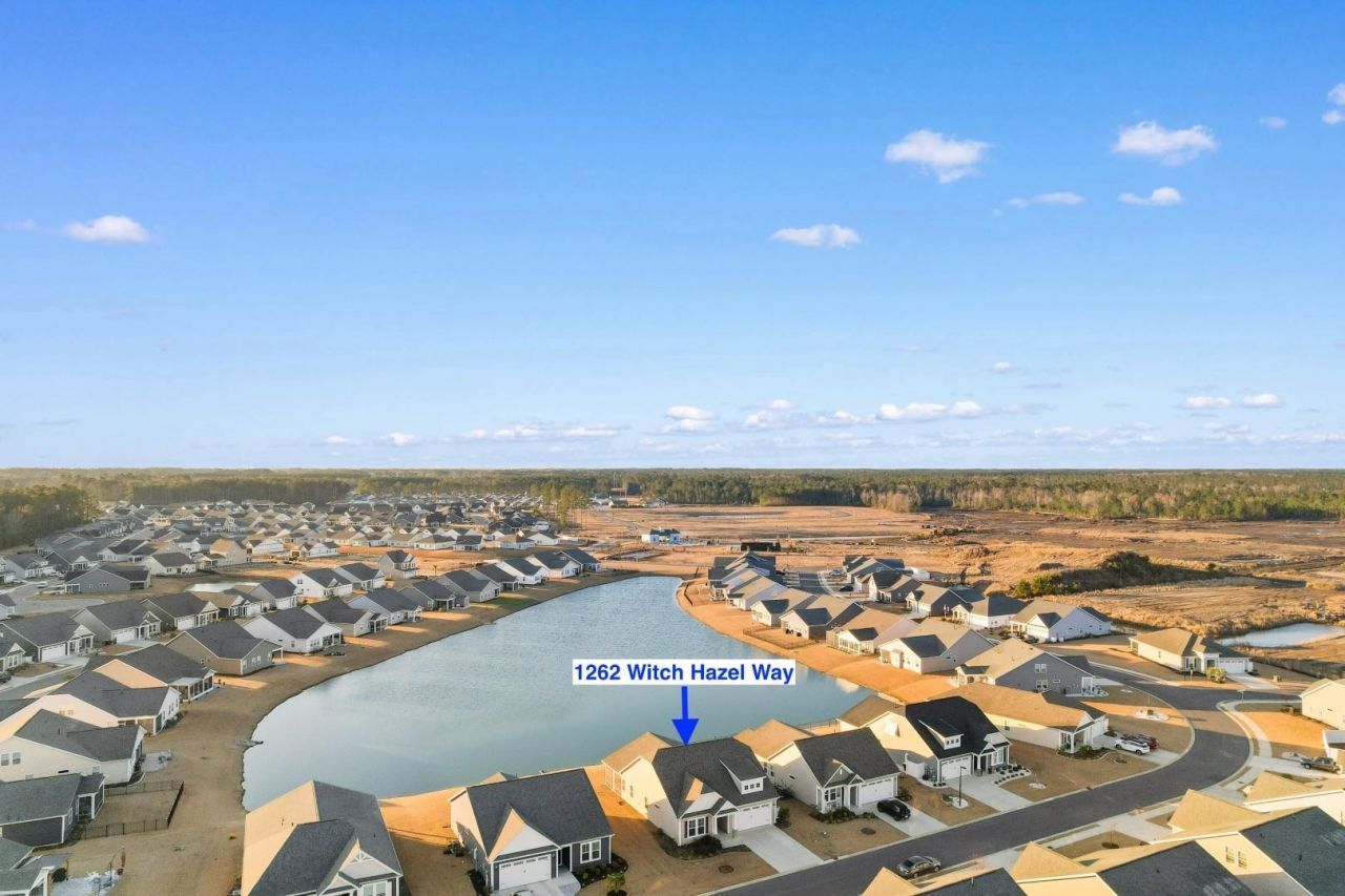 1262 Witch Hazel Way  Photo 32