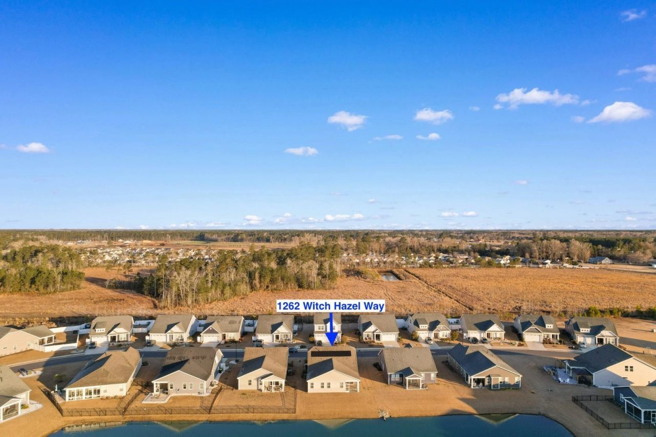 1262 Witch Hazel Way  Photo 33