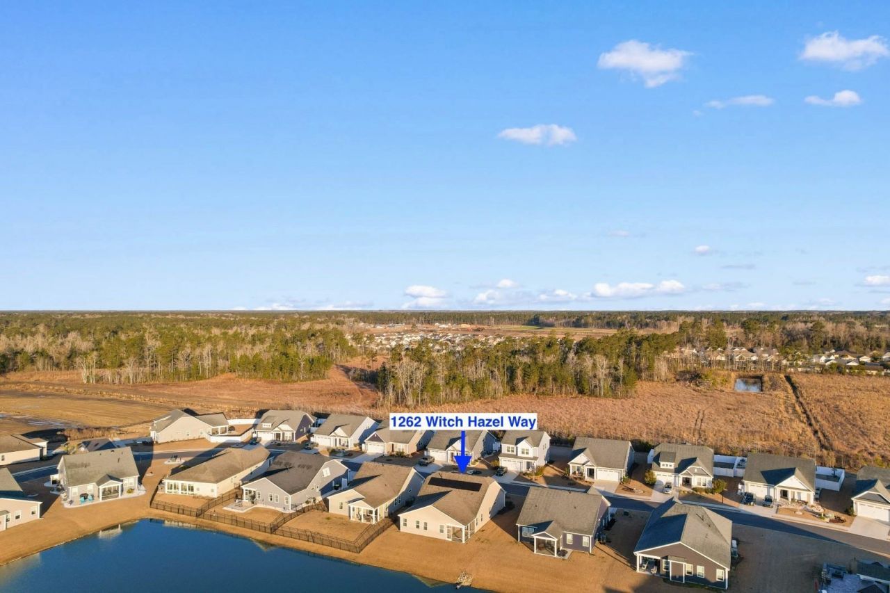 1262 Witch Hazel Way  Photo 34