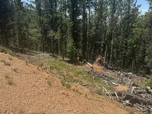 110 Brown Bear Lane, Cripple Creek, CO 80816