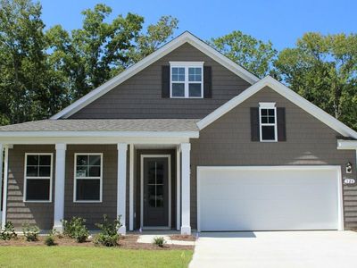 220 Blueberry Fields Ct. , Longs, SC 29568