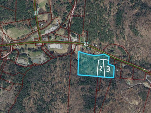 8559 VT Route 30, Unit Lots 2 & 3, Jamaica, VT 05343