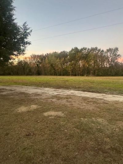 2532 Mg Hemingway Road Photo 2