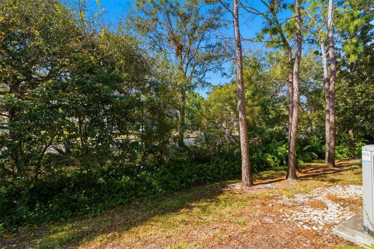 11840 13th Way N, Saint Petersburg, FL 33716 Photo