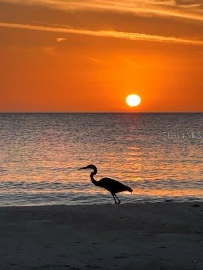 600 Jungle Queen Way, Longboat Key, FL 34228 Photo