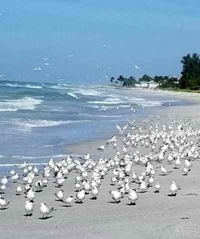 600 Jungle Queen Way, Longboat Key, FL 34228 Photo