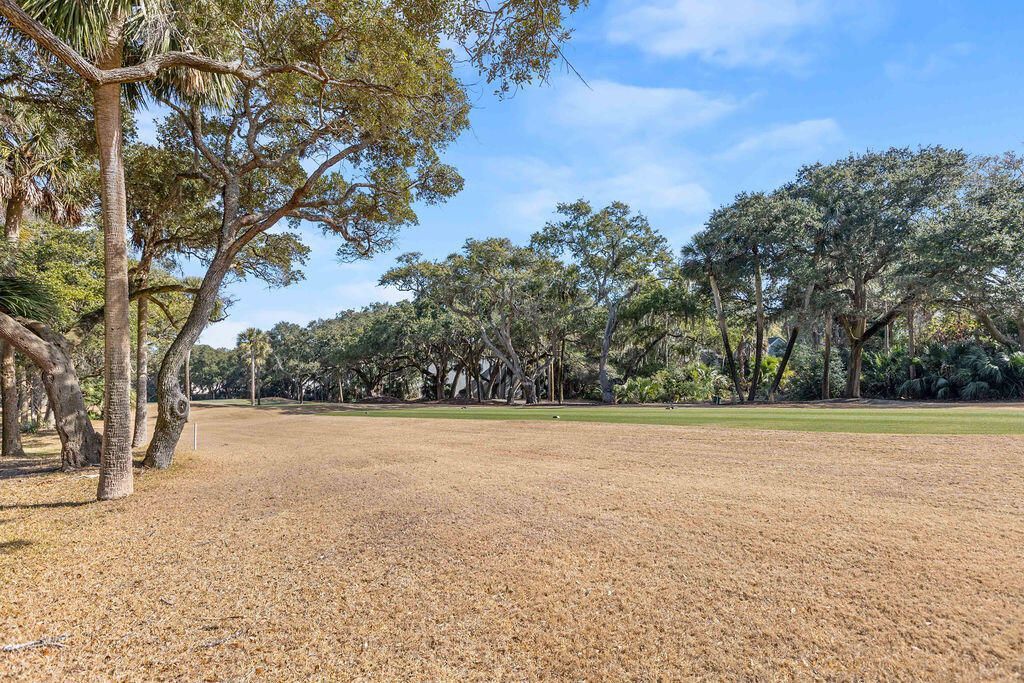 142 High Hammock Drive Photo 5