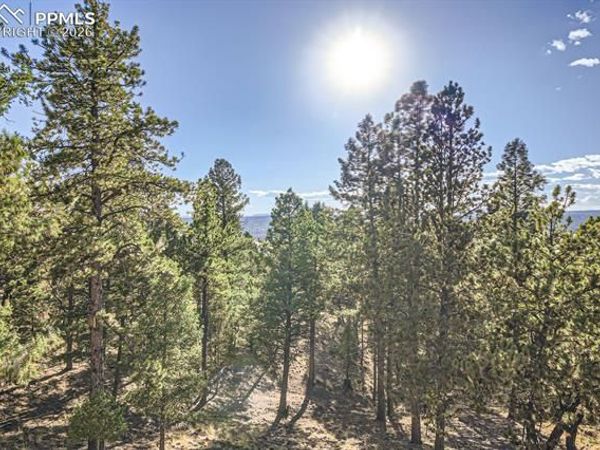 37 Amanda Circle, Florissant, CO 80816