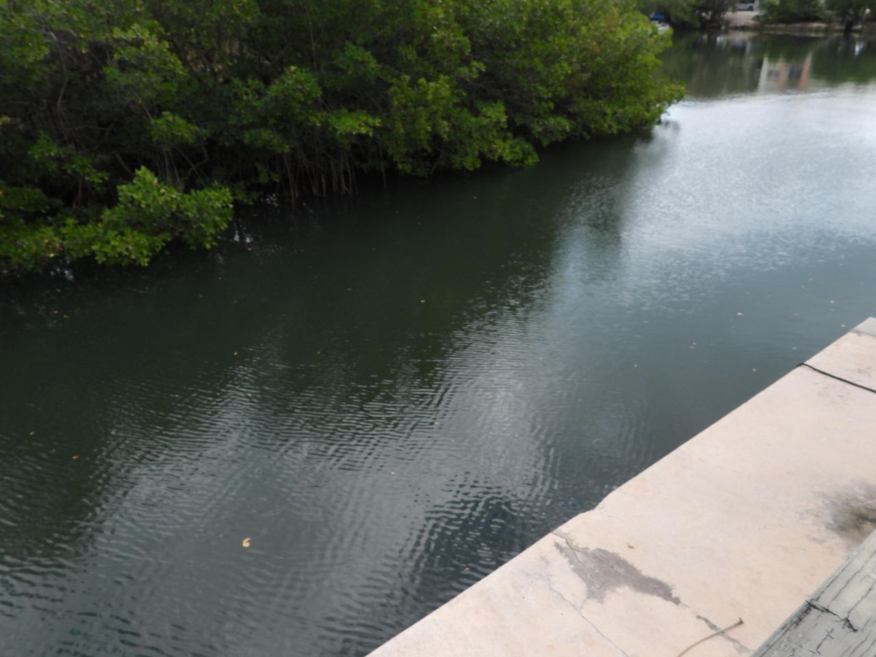 9 47th Street Gulf, Marathon, FL 33050 Photo