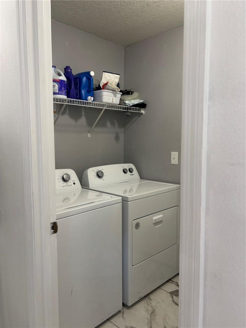 30837 Temple Stand Avenue, Wesley Chapel, FL 33543 Photo