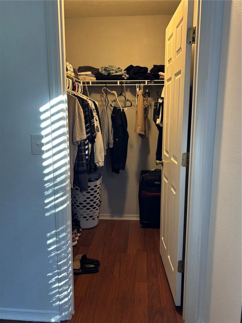 30837 Temple Stand Avenue, Wesley Chapel, FL 33543 Photo