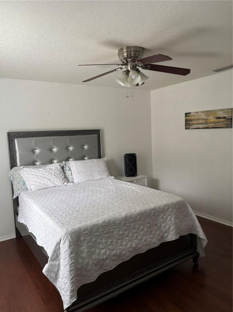 30837 Temple Stand Avenue, Wesley Chapel, FL 33543 Photo