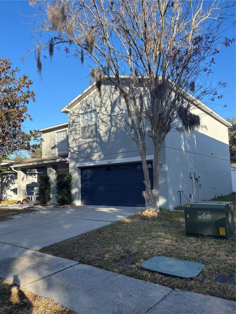 30837 Temple Stand Avenue, Wesley Chapel, FL 33543 Photo