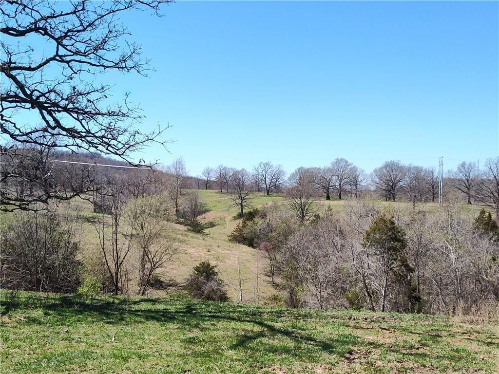 243 Acres Hewitt Springs , Springdale, AR 72764 Main Photo