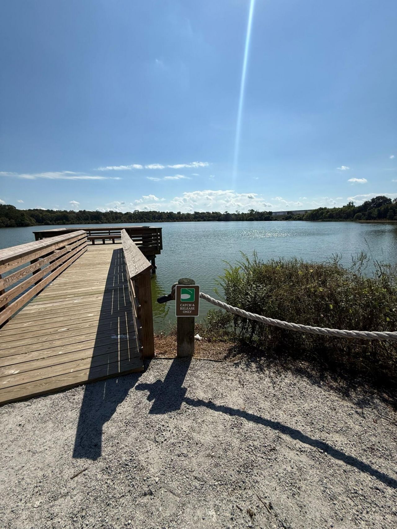 230 Blue Haw Drive Photo 14