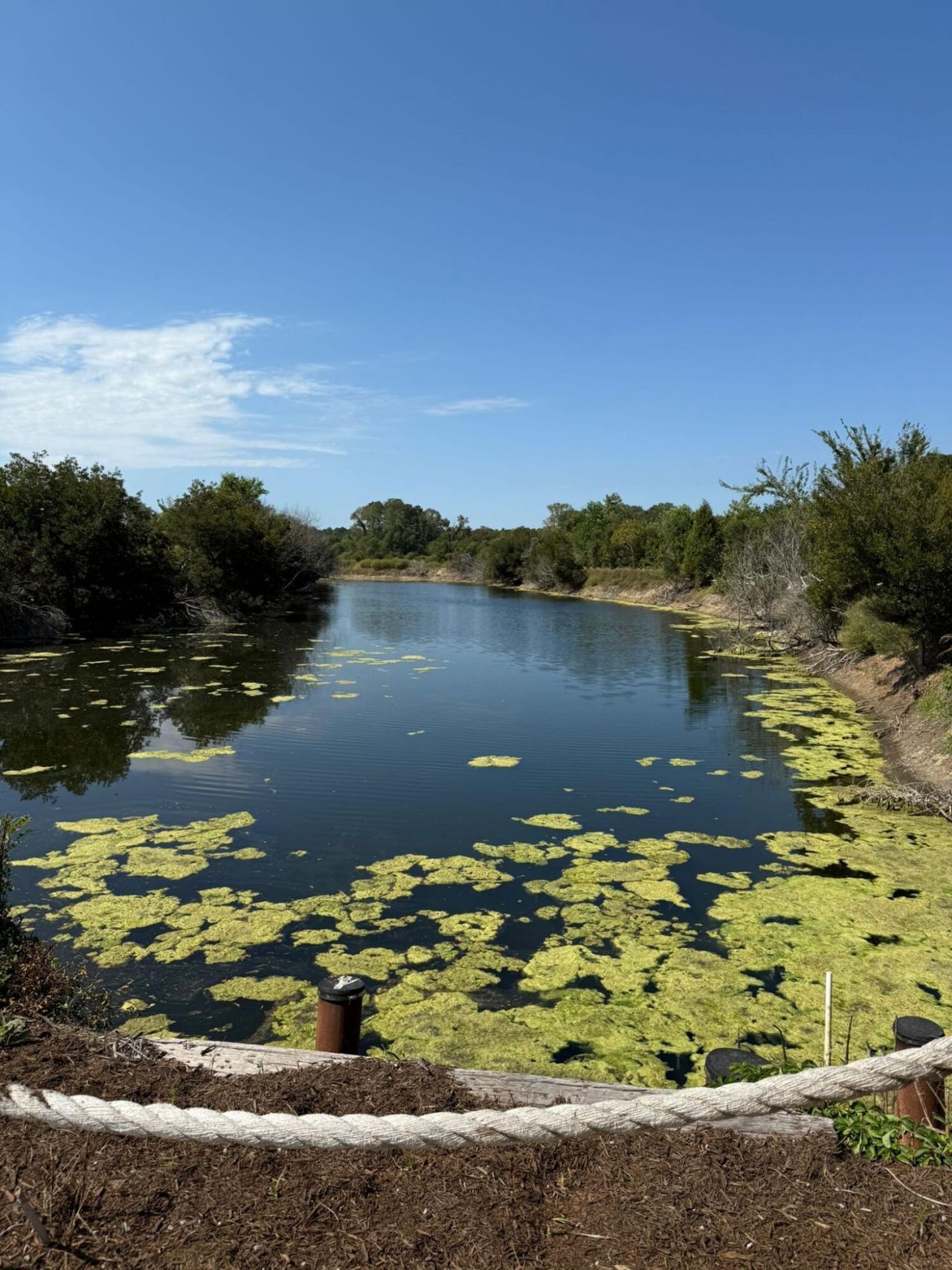 230 Blue Haw Drive Photo 22