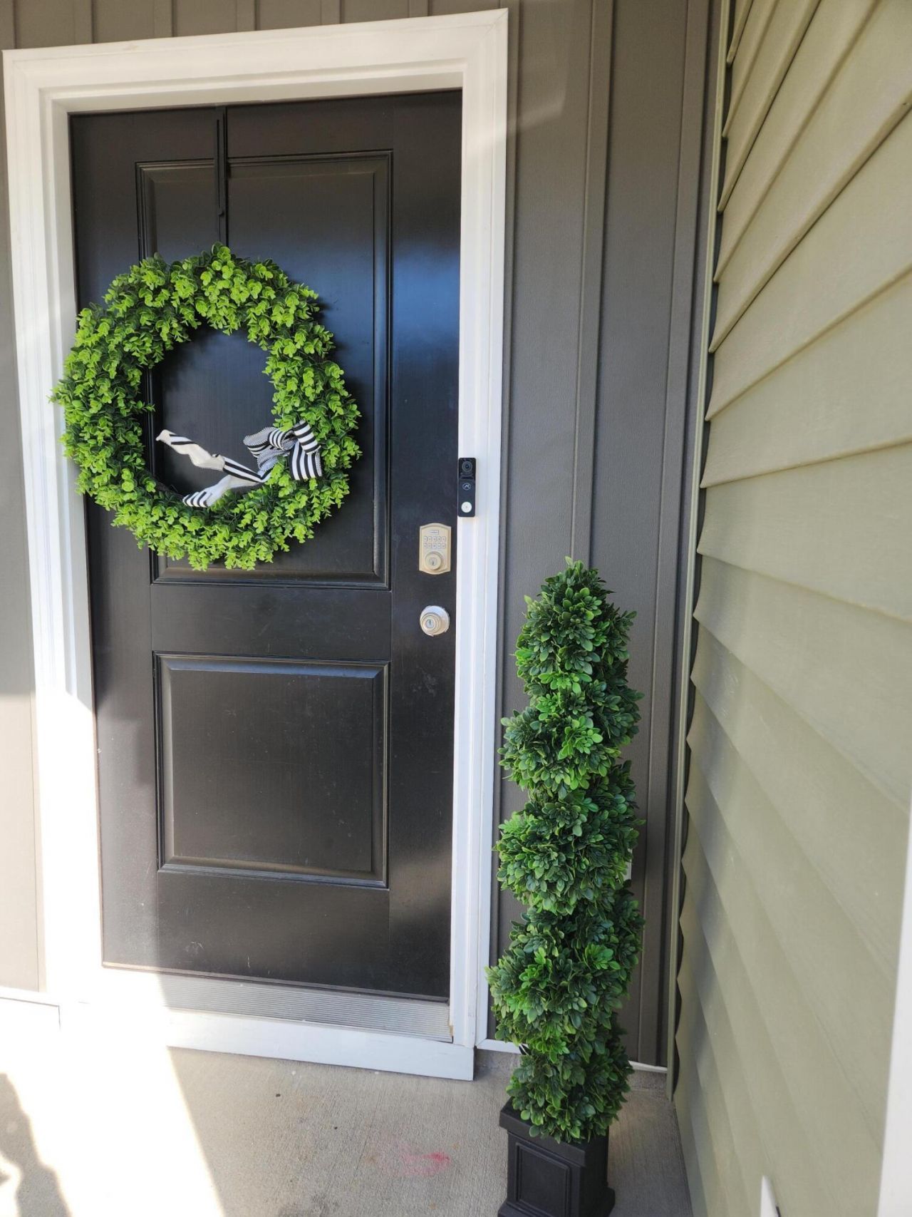 230 Blue Haw Drive Photo 4