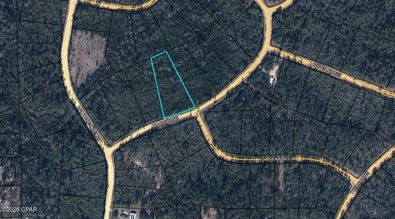 Tbd Apache Drive, Alford, FL 32420 Main Photo